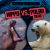 Hippo vs. Polar Bear Hippo vs. Polar Bear