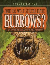 Why Do Wolf Spiders Make Burrows? : And Other Odd Arachnid Adaptations