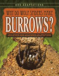 Why Do Wolf Spiders Make Burrows? : And Other Odd Arachnid Adaptations