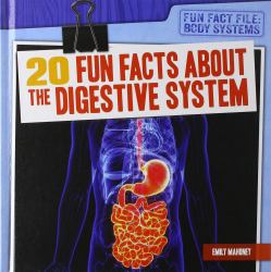 20 Fun Facts about the Digestive System