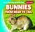 Bunnies from Head to Tail