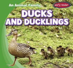 Ducks and Ducklings