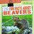 20 Fun Facts about Beavers