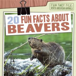 20 Fun Facts about Beavers