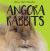 Angora Rabbits