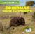 Echidnas Sense Electricity!