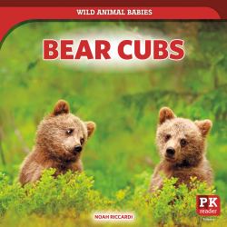 Bear Cubs