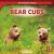 Bear Cubs
