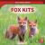 Fox Kits Fox Kits