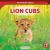 Lion Cubs Lion Cubs