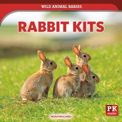 Rabbit Kits