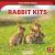 Rabbit Kits Rabbit Kits