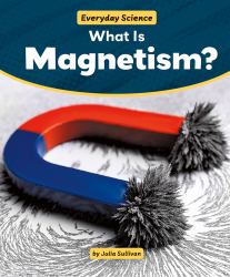 What Is Magnetism?