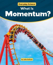 What Is Momentum?