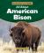 All about American Bison All about American Bison