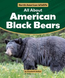 All about American Black Bears