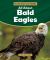 All about Bald Eagles All about Bald Eagles