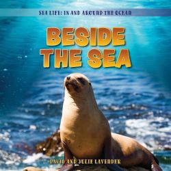 Beside the Sea