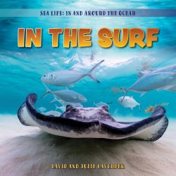 In the Surf