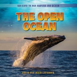 The Open Ocean
