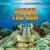 Under the Sea Under the Sea