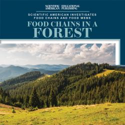 Food Chains in a Forest