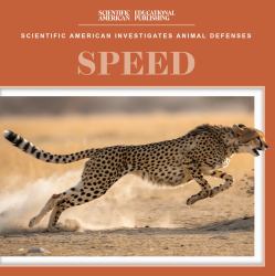 Speed