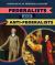 Federalists and Anti-Federalists