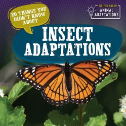 20 Things You Didnt Know about Insect Adaptations