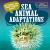 20 Things You Didnt Know about Sea Animal Adaptations 20 Things You Didnt Know about Sea Animal Adaptations