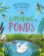 Exploring Ponds