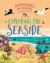 Exploring the Seaside