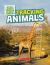 Tracking Animals (Real World Math) (Library Edition)