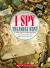 I Spy Treasure Hunt: a Book of Picture Riddles
