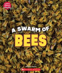 A Swarm of Bees (Learn about: Animals)