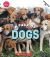 A Pack of Dogs (Learn about: Animals)