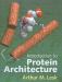 Introduction to Protein Architecture : The Structural Biology of Proteins