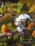 The University of Virginia : A Pictorial History
