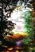 Reclaiming Nostalgia : Longing for Nature in American Literature
