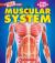 Muscular System (a True Book: Your Amazing Body)