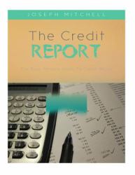 The Credit Report : The Busy Persons Guide to Credit Repair