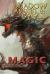 Shadow, Sword and Spell : Magic