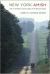 New York Amish : Life in the Plain Communities of the Empire State