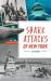 Shark Attacks of New York : A History