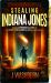 Stealing Indiana Jones : An Essay on Inspiration and Death and How George Lucas Hijacked the Greatest Stories of Our Time