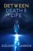 Between Death and Life : Conversations with a Spirit (Updated and Revised) Between Death and Life : Conversations with a Spirit (Updated and Revised)