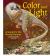Color and Light : A Guide for the Realist Painter