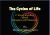 The Cycles of Life : 7 Year Cycles and Stages of Change