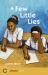 Hodder African Reader: a Few Little Lies