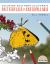 Coloring Southern California Butterflies and Caterpillars